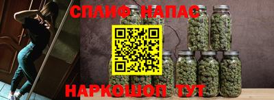 сатива Будённовск