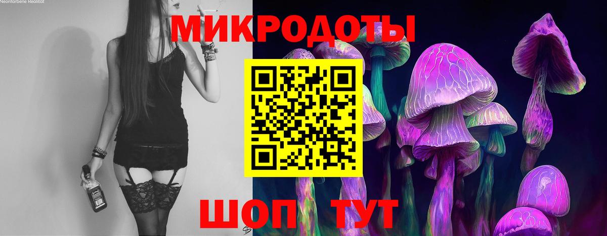 Псилоцибиновые грибы MAGIC MUSHROOMS Янаул